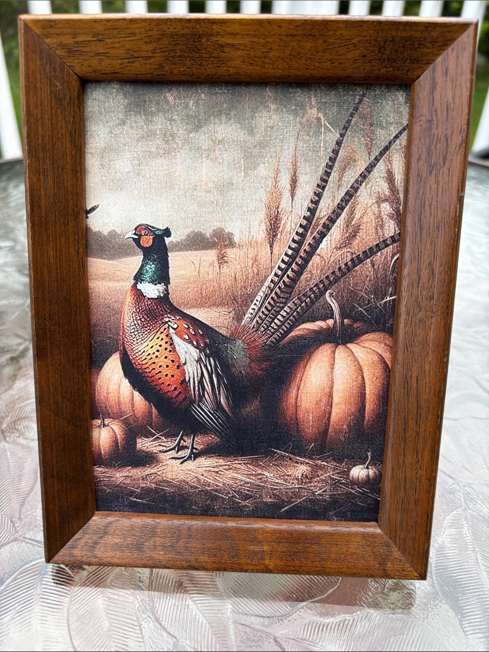 Rustic Pheasant Pumpkin Framed Print